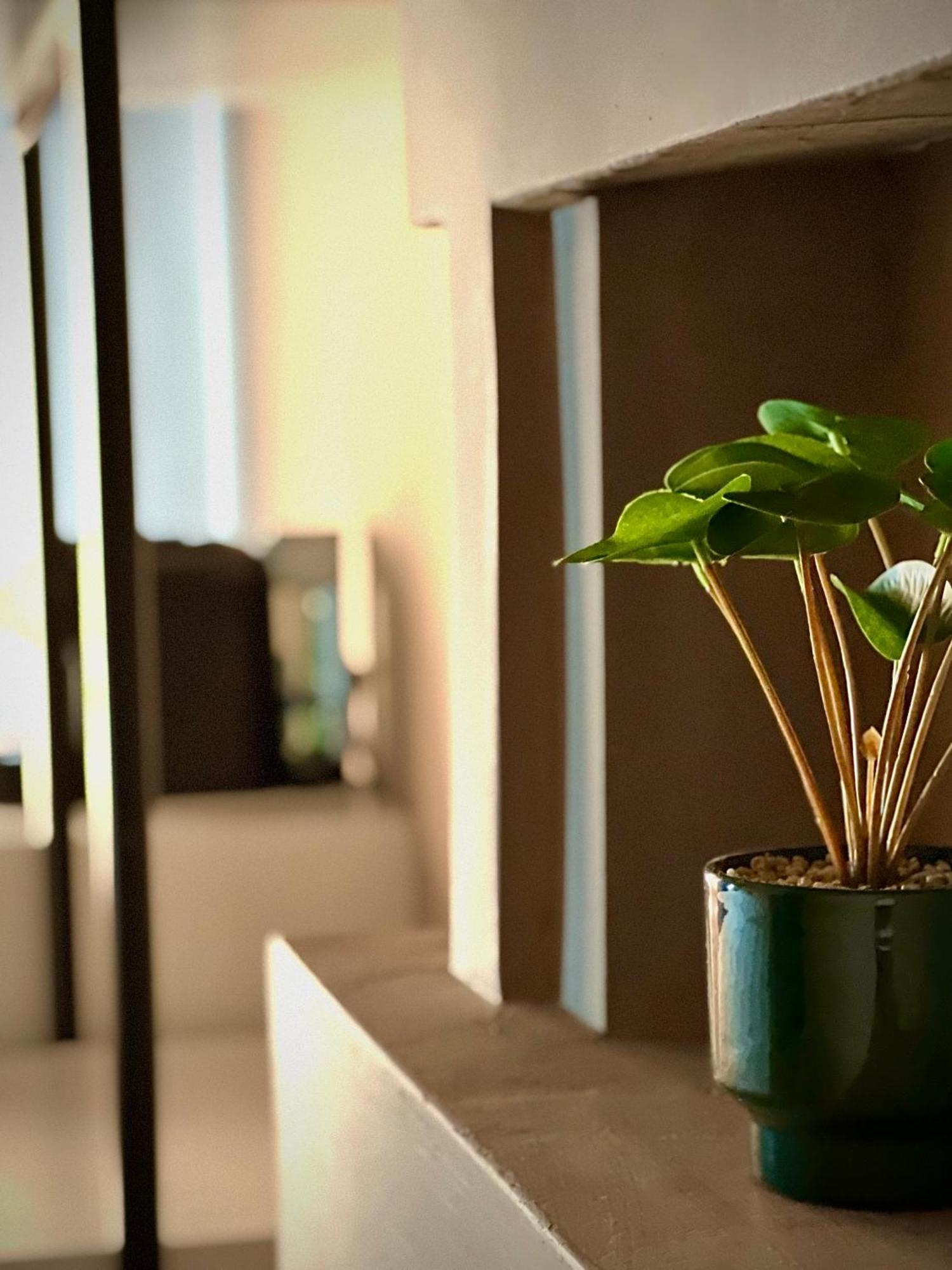 Rex Hotel Boutique Тирана Екстериор снимка
